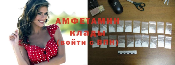 сатива Каменногорск