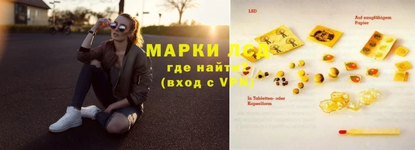 сатива Каменногорск