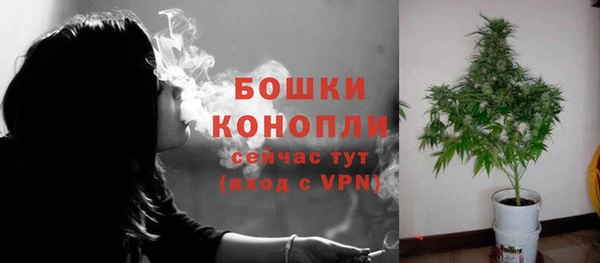 ALPHA PVP Заводоуковск