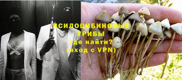 ALPHA PVP Заводоуковск