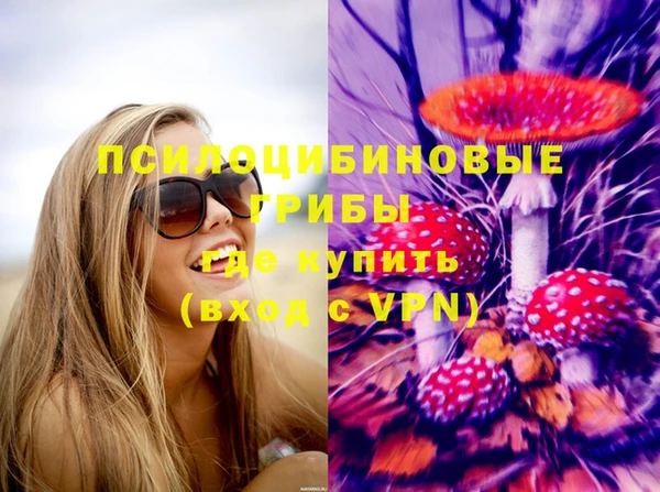 ECSTASY Каменск-Шахтинский